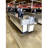 2012 EMI SINGLE BELT CHECKLANE (POS NOT INCLUDED)