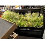 UNMARKED SELF CONTINED FLORAL CASE