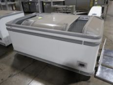 AHT portable freezer