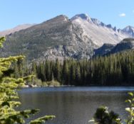 More lots aded daily! Please send all auction questions/inquiries to HEBauctions@samauctions.com