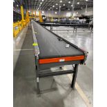 Invata conveyor belt