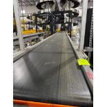 Invata conveyor belt