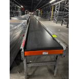 Invata conveyor belt