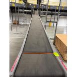 Invata conveyor belt w/ incline