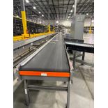 Invata conveyor belt