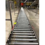 Invata partially powered roller conveyor