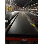 Invata conveyor belt