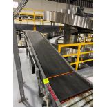 Invata conveyor belt w/ incline