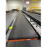Invata powered roller conveyor