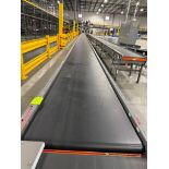 Invata conveyor belt