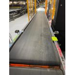 Invata conveyor belt