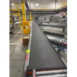 Invata conveyor belt