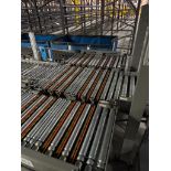 Invata diverter dual roller conveyor