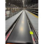 Invata conveyor belt