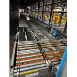 Invata diverter dual roller conveyor