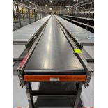Invata conveyor belt