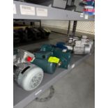 electric motors w/ gear boxes for conveyor belts