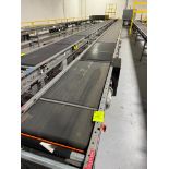 Invata conveyor belt