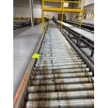 Invata partially powered roller conveyor