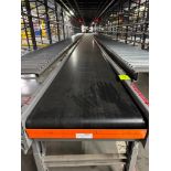 Invata conveyor belt