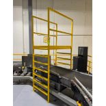 conveyor crossover