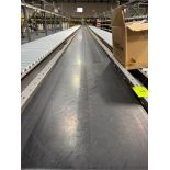 Invata conveyor belt