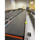 Invata conveyor belt