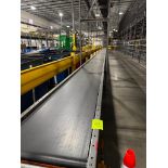 Invata conveyor belt