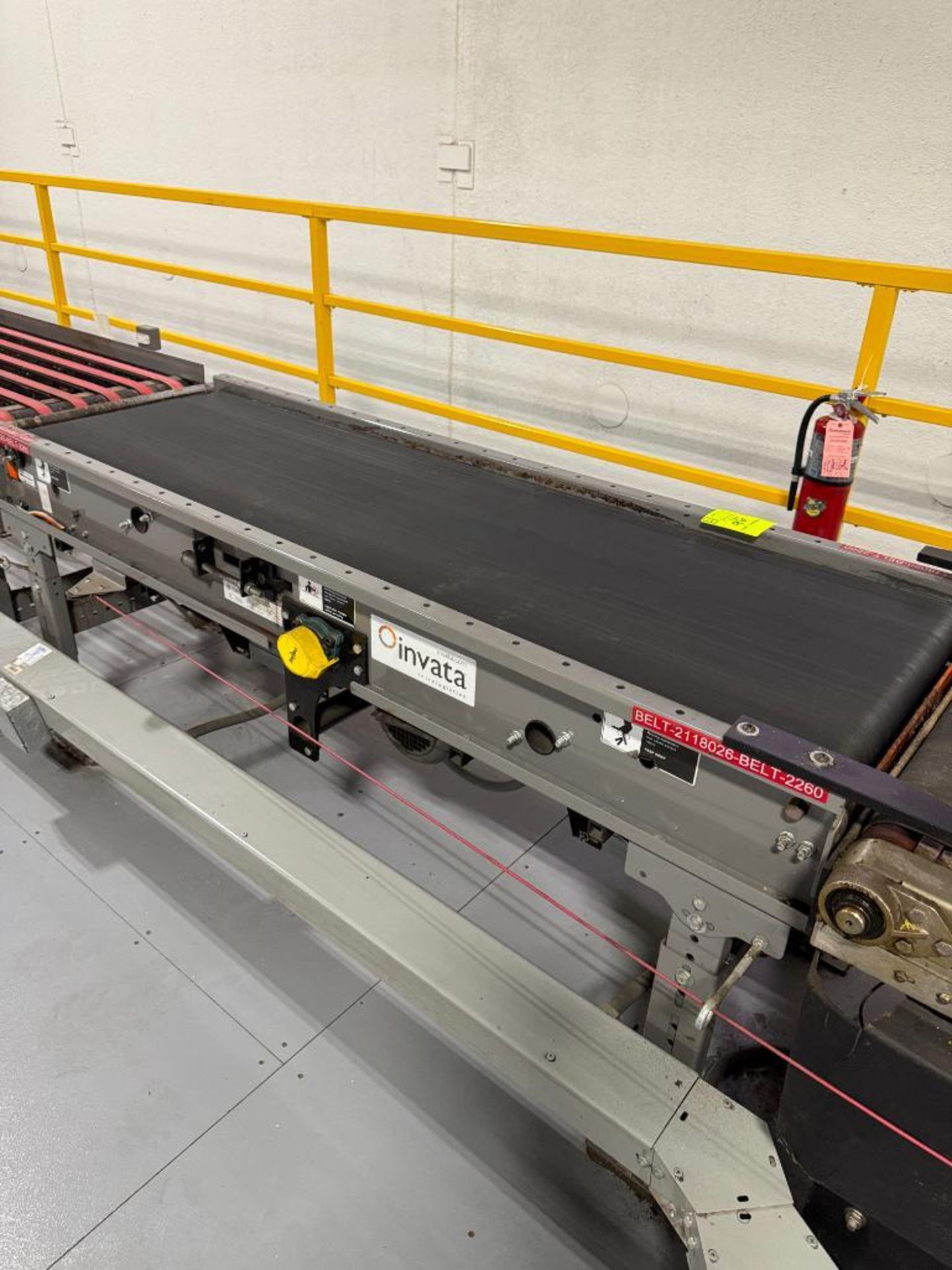 Invata conveyor belt