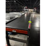 Invata conveyor belt