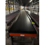 Invata conveyor belt