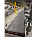 Invata conveyor belt