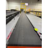 Invata conveyor belt