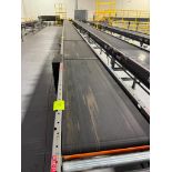 Invata powered roller conveyor