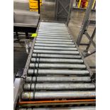 Invata roller conveyor