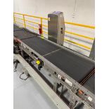 Invata conveyor belt