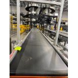 Invata conveyor belt