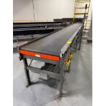 Invata conveyor belt collection belt