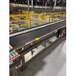 Invata conveyor belt