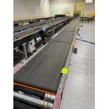 Invata conveyor belt