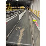Invata conveyor belt