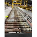 Invata powered roller conveyor