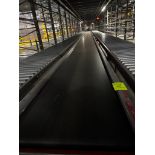 Invata conveyor belt