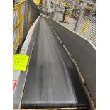 Invata conveyor belt w/ decline