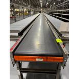 Invata conveyor belt
