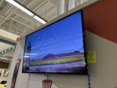 42IN COLOR DISPLAY W/ WALL MOUNT