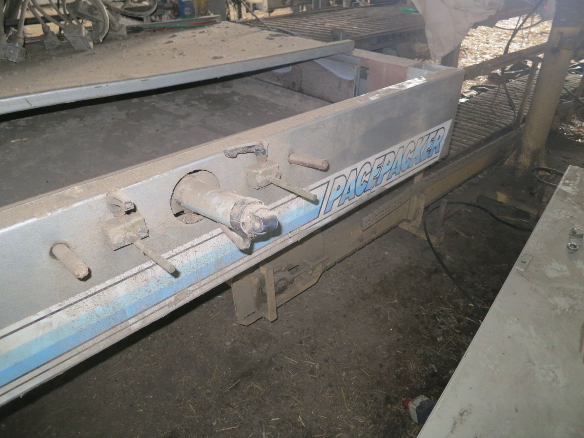 Pacepacker F1 Low Level Palletiser, with pallet magazine, entry and exit conveyors and control - Image 6 of 14