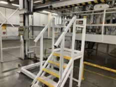 Tote Cleaning Station, with control panel, steel RSJ, bin stand AND access platform A sole principal
