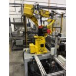 Fanuc M-16I ROBOT ROBOTIC ARM, year of manufacture 1999, 270kg, with Fanuc R-J3 power controller,