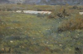 Lucius, Sebastian (19./20. Jh.) "Wiesenlandschaft", Öl/MP., unsign., aus dem Künstler Nachlaß stamm